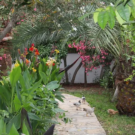 Turtle Beach Bungalows Lejlighed