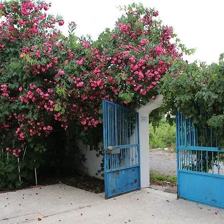 Turtle Beach Bungalows *