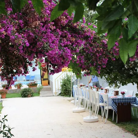 Turtle Beach Bungalows Lejlighed