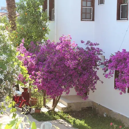Turtle Beach Bungalows Дальян